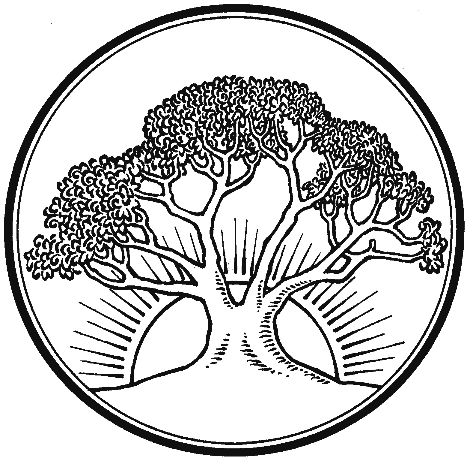 Populus Zion (Advent 2) AD 2024