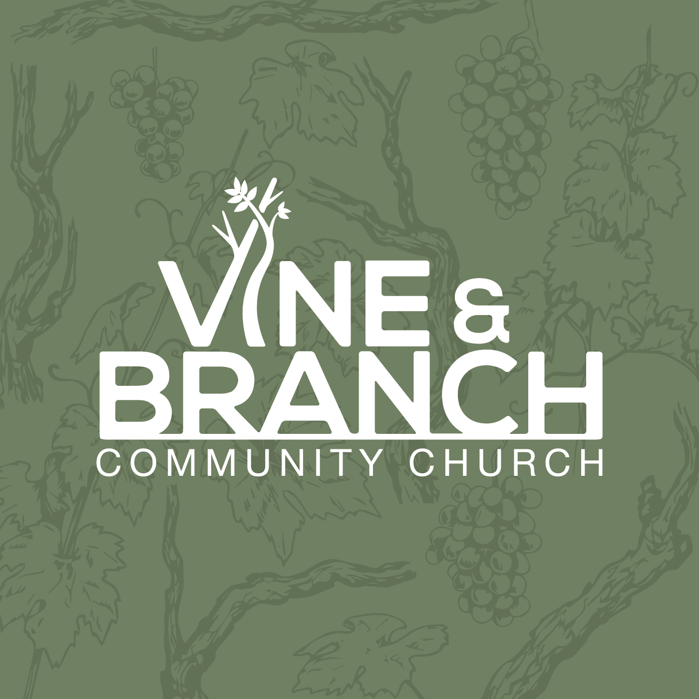 Vine & Branch Community Church Sermons