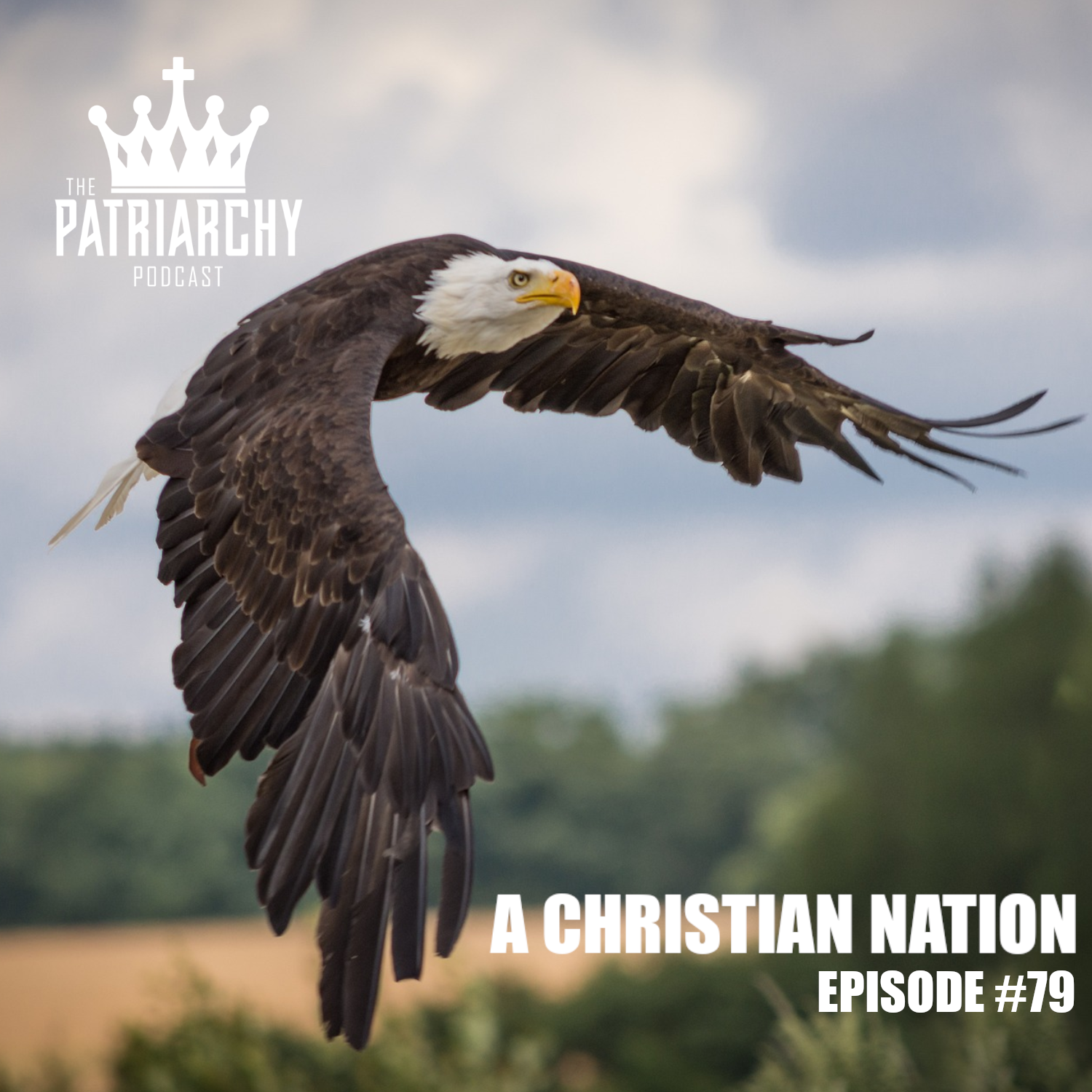 The Patriarchy Podcast - Equipping Christian Men to Build, Fight, Protect and Lead